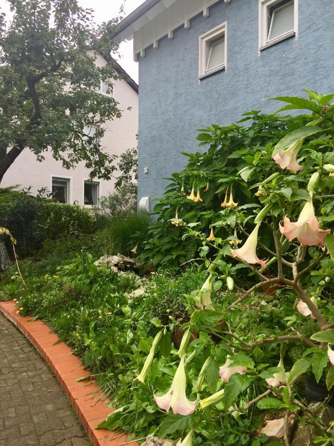 Blaues Haus Apartment Niederdorfelden Exterior foto
